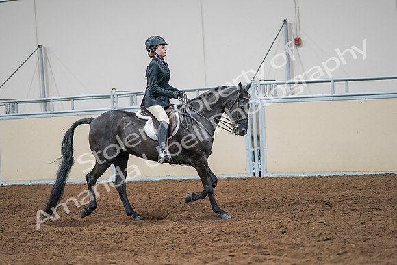 2020 - AB Morgan Horse - Sun, Sept 06 - 08047