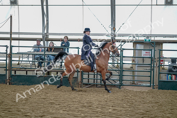 July 20, 2019 - 13947