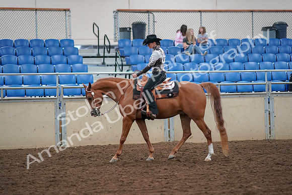 2019 Morgan Horse Show - Aug 30, 2019 - 16730