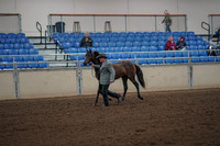 2019 Morgan Horse Show - Aug 30, 2019 - 25687