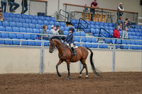 2020 - AB Morgan Horse - Sat, Sept 05 - 01740