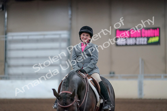 2019 Morgan Horse Show - Aug 31, 2019 - 19739