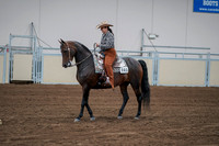 2020 - AB Morgan Horse - Fri, Sept 04 - 00057