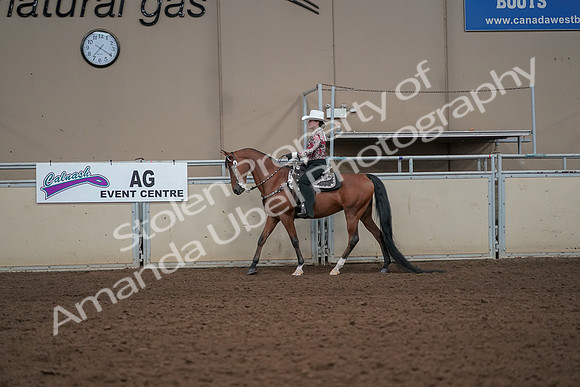 2019 Morgan Horse Show - Aug 30, 2019 - 25996