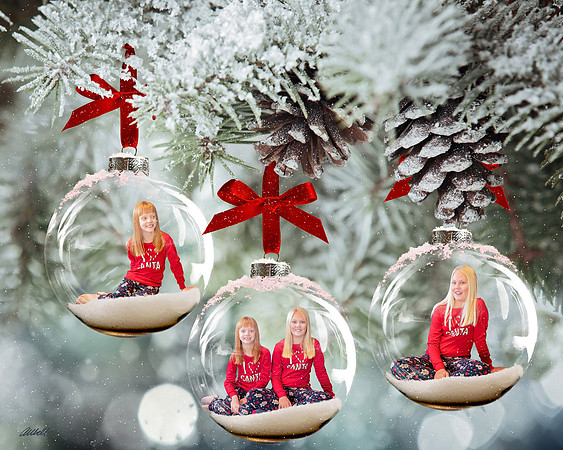 Watts - Frosted Glass Ornaments 16x20