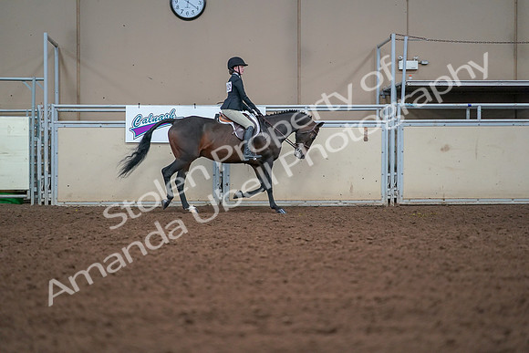2019 Morgan Horse Show - Aug 30, 2019 - 20694