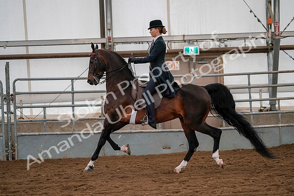 July 19, 2019 - 10561