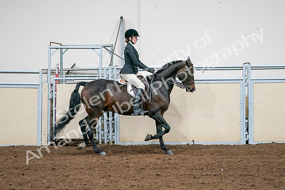 2020 - AB Morgan Horse - Sat, Sept 05 - 14580