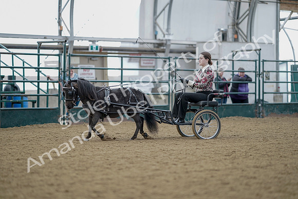July 21, 2019 - 06535