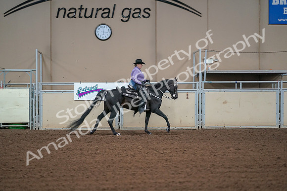2019 Morgan Horse Show - Aug 30, 2019 - 16988