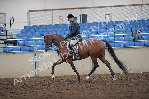 2019 Morgan Horse Show - Aug 31, 2019 - 14835