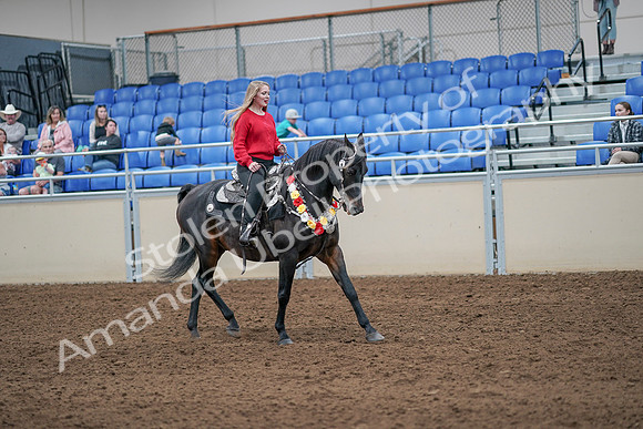 2020 - AB Morgan Horse - Sat, Sept 05 - 10513