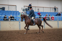 2019 Morgan Horse Show - Aug 30, 2019 - 17238