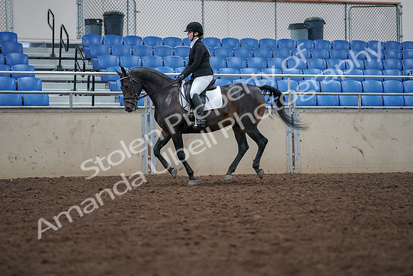 2019 Morgan Horse Show - Aug 30, 2019 - 18439
