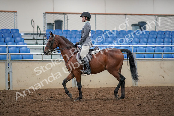 2019 Morgan Horse Show - Aug 30, 2019 - 23202