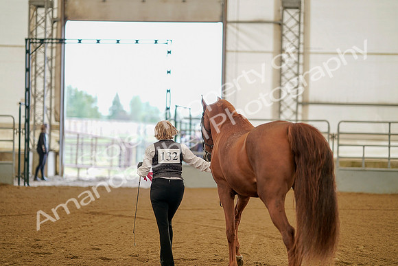 July 19, 2019 - 294