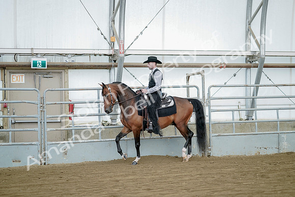 July 21, 2019 - 06706