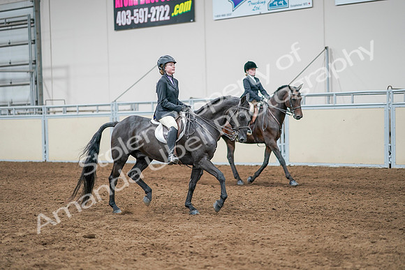 2020 - AB Morgan Horse - Sun, Sept 06 - 08140