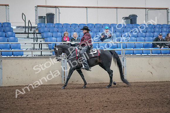 2019 Morgan Horse Show - Aug 31, 2019 - 10645