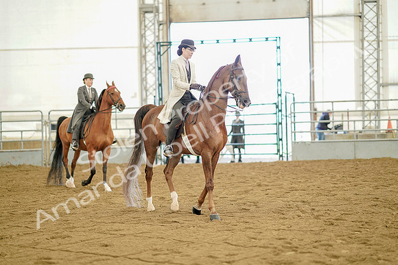 July 20, 2019 - 07903