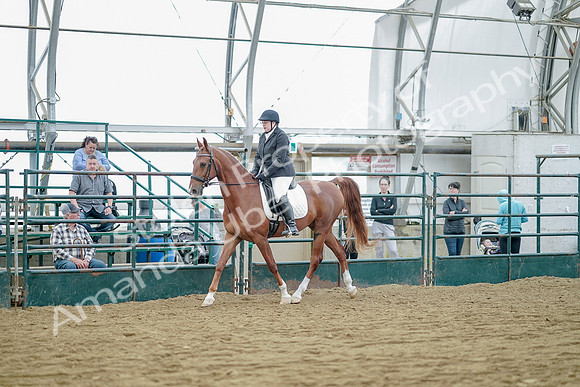 July 21, 2019 - 09579