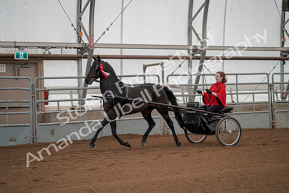 July 20, 2019 - 00301