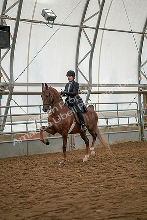 July 19, 2019 - 12785