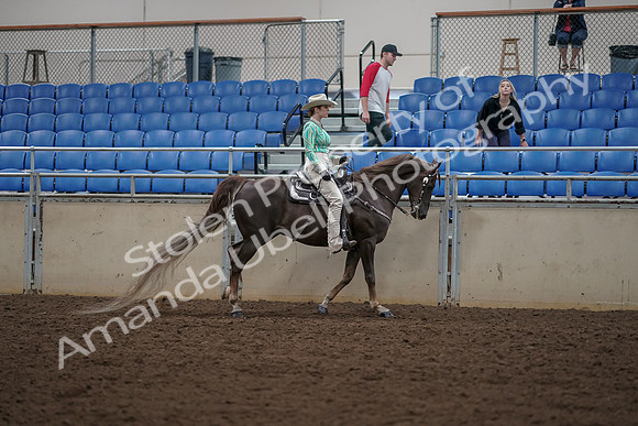 2019 Morgan Horse Show - Aug 30, 2019 - 26158