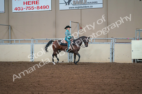 2019 Morgan Horse Show - Aug 30, 2019 - 17048