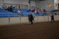 2019 Morgan Horse Show - Aug 30, 2019 - 24649
