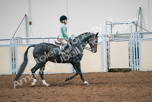 2020 - AB Morgan Horse - Sun, Sept 06 - 08064