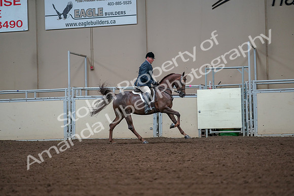 2019 Morgan Horse Show - Aug 30, 2019 - 17581