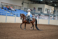 2020 - AB Morgan Horse - Fri, Sept 04 - 08253