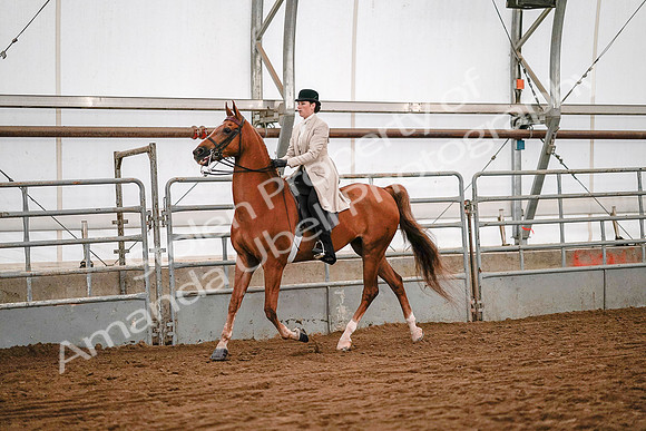 July 19, 2019 - 9008