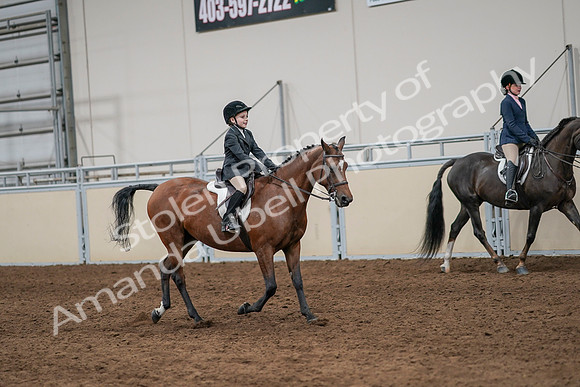2020 - AB Morgan Horse - Sun, Sept 06 - 07996
