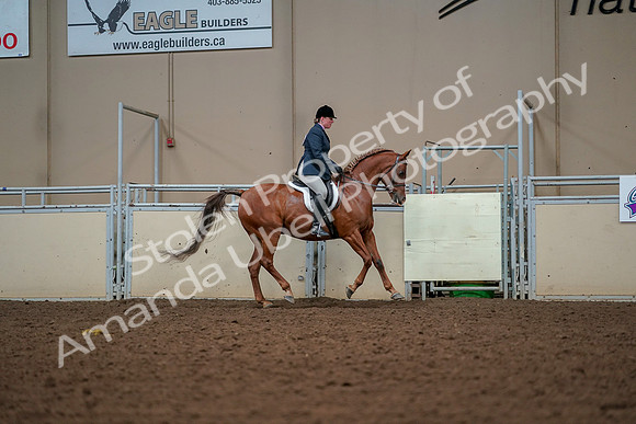 2019 Morgan Horse Show - Aug 30, 2019 - 22551