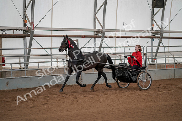 July 20, 2019 - 00296