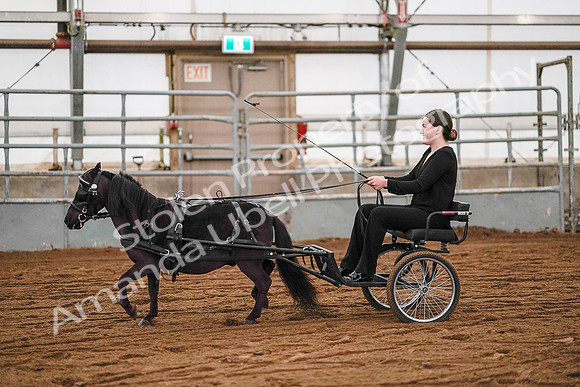 July 19, 2019 - 7028