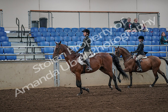 2019 Morgan Horse Show - Aug 31, 2019 - 05105