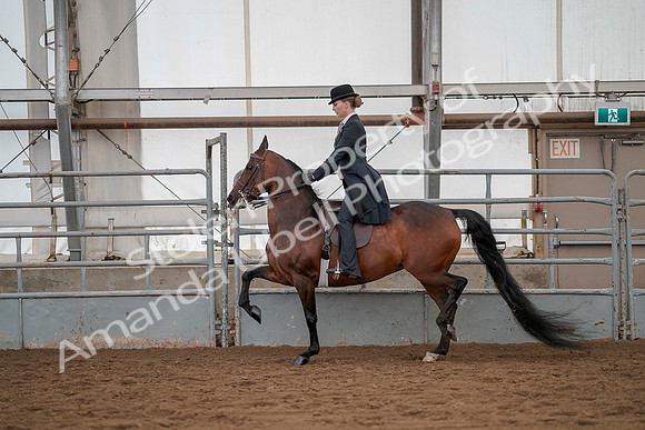 July 20, 2019 - 04388