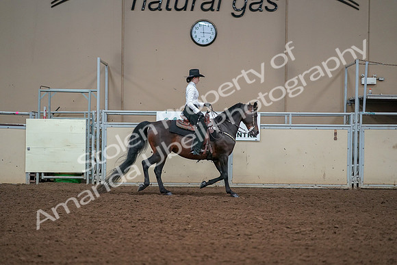 2019 Morgan Horse Show - Aug 30, 2019 - 17003