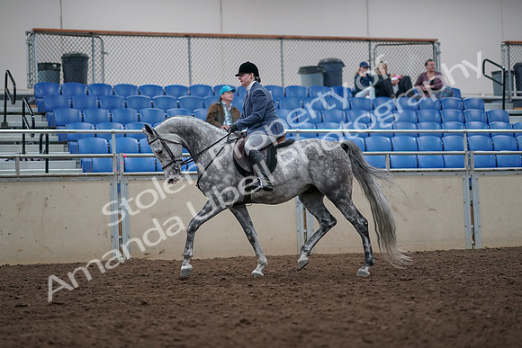 2019 Morgan Horse Show - Aug 31, 2019 - 14766