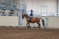 2020 - AB Morgan Horse - Sat, Sept 05 - 01736