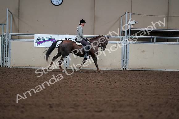 2019 Morgan Horse Show - Aug 30, 2019 - 18580