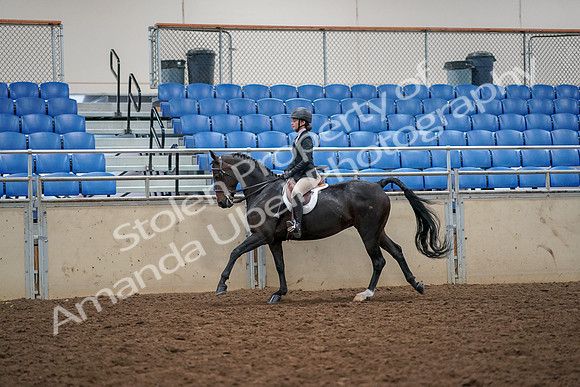 2019 Morgan Horse Show - Aug 30, 2019 - 23407
