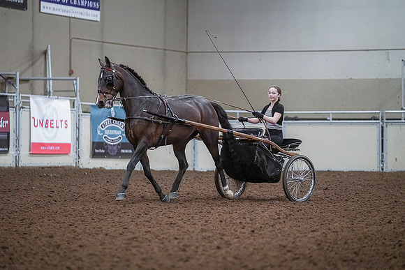 Spring Fling - Saturday - April 20, 2019  -  00201