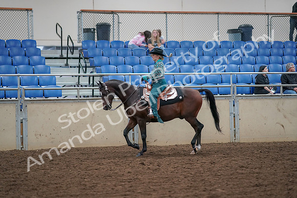 2019 Morgan Horse Show - Aug 30, 2019 - 16713