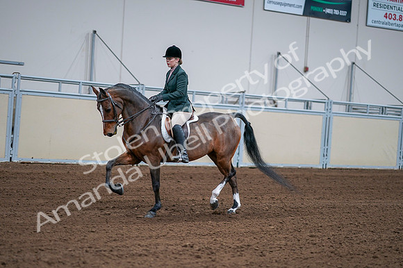 2020 - AB Morgan Horse - Fri, Sept 04 - 01693