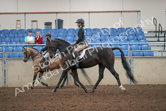 2019 Morgan Horse Show - Aug 31, 2019 - 04859