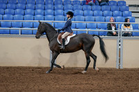 2020 - AB Morgan Horse - Sat, Sept 05 - 10607